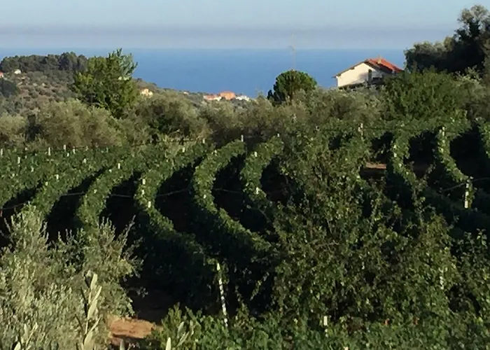 Farmház Ada Musso Ss *