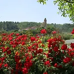 Ada Musso Ss Feriegård