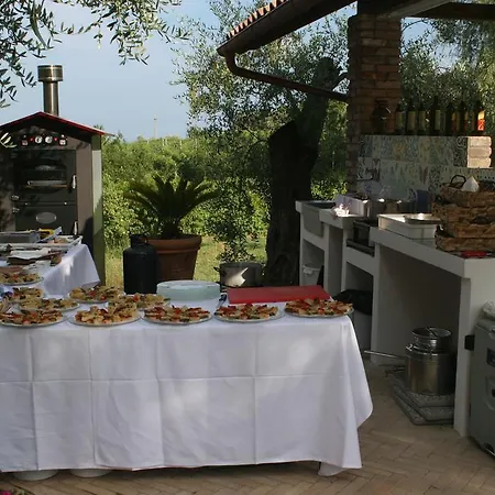 ファームステイ Ada Musso Ss