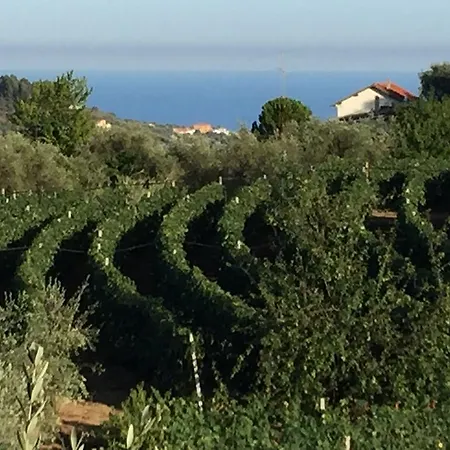 Alloggio per agriturismo Ada Musso Ss *