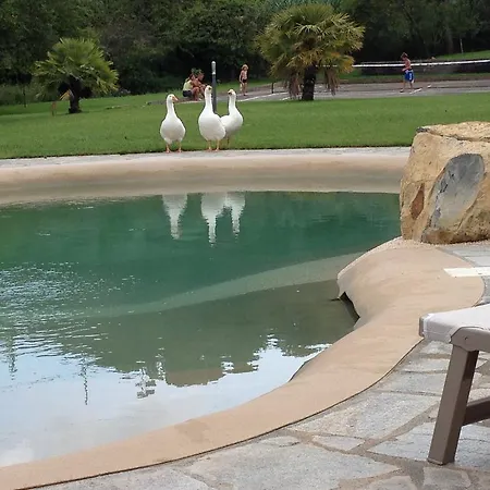 Agriturismo Ada Musso Diano Borello