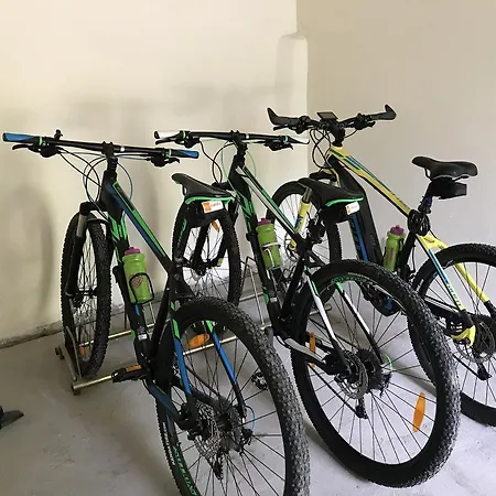 Ada Musso Ss Alloggio per agriturismo Diano Borello