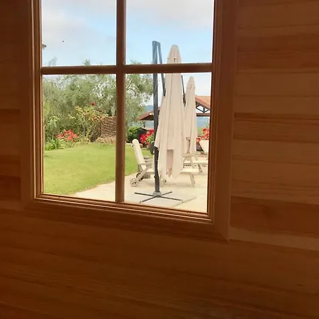 Ada Musso Ss ファームステイ