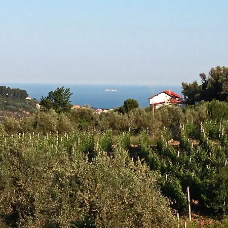 Bauernhof Agriturismo Ada Musso Diano Borello