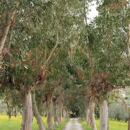 Ada Musso Ss ファームステイ Diano Borello