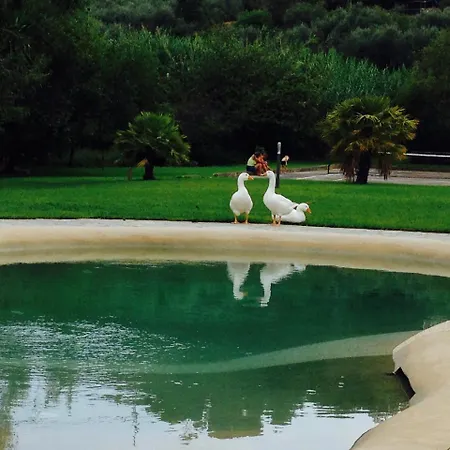 Ada Musso Ss ファームステイ