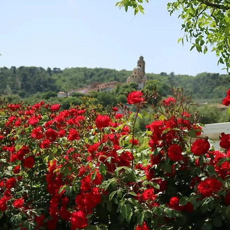 Ada Musso Ss ファームステイ