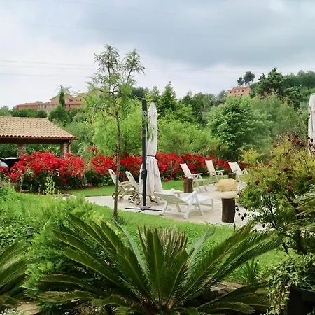 Alloggio per agriturismo Ada Musso Ss Diano Borello