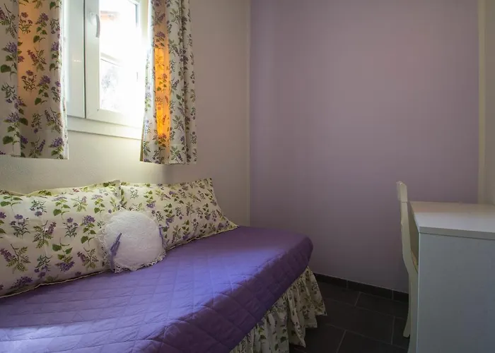 Ada Musso Ss Agroturismo