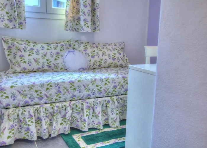 农家乐 Ada Musso Ss