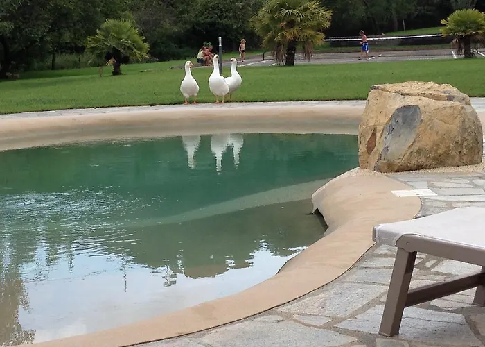 Ada Musso Ss Diano Borello