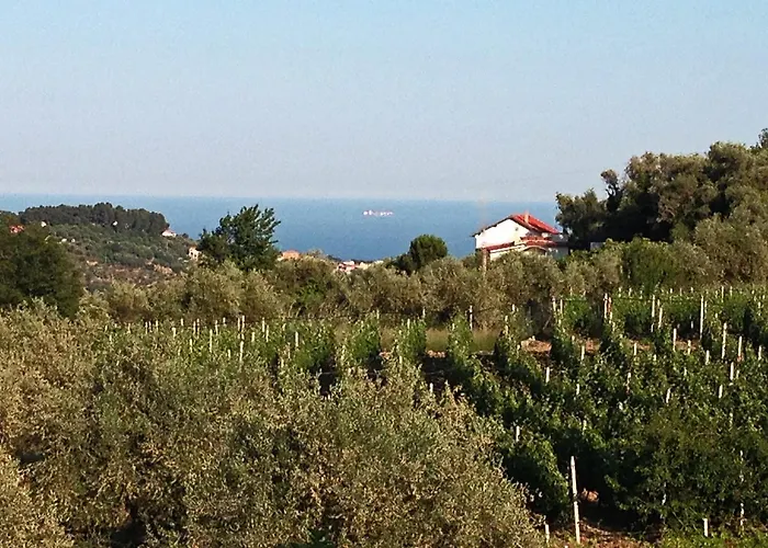 Agroturismo Ada Musso Ss Diano Borello