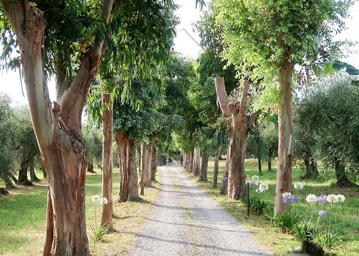 Agroturismo Ada Musso Ss