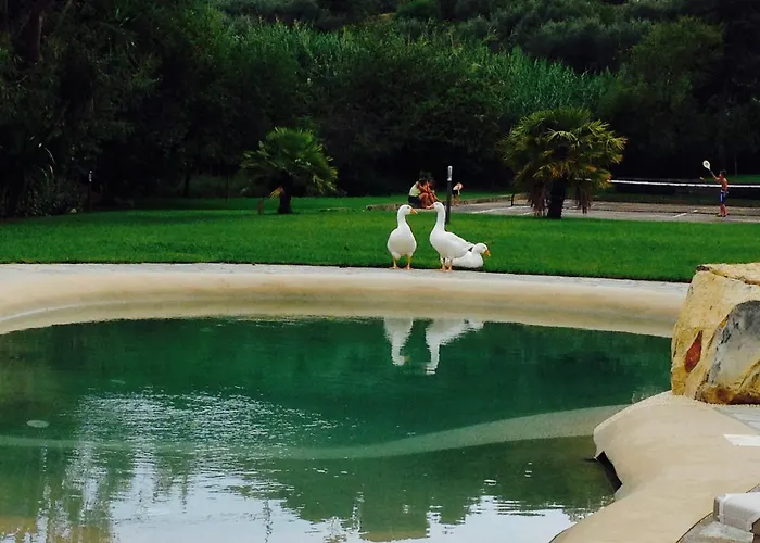 Ada Musso Ss Agroturismo