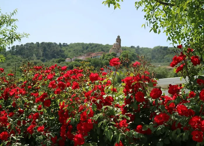 Ada Musso Ss 农家乐